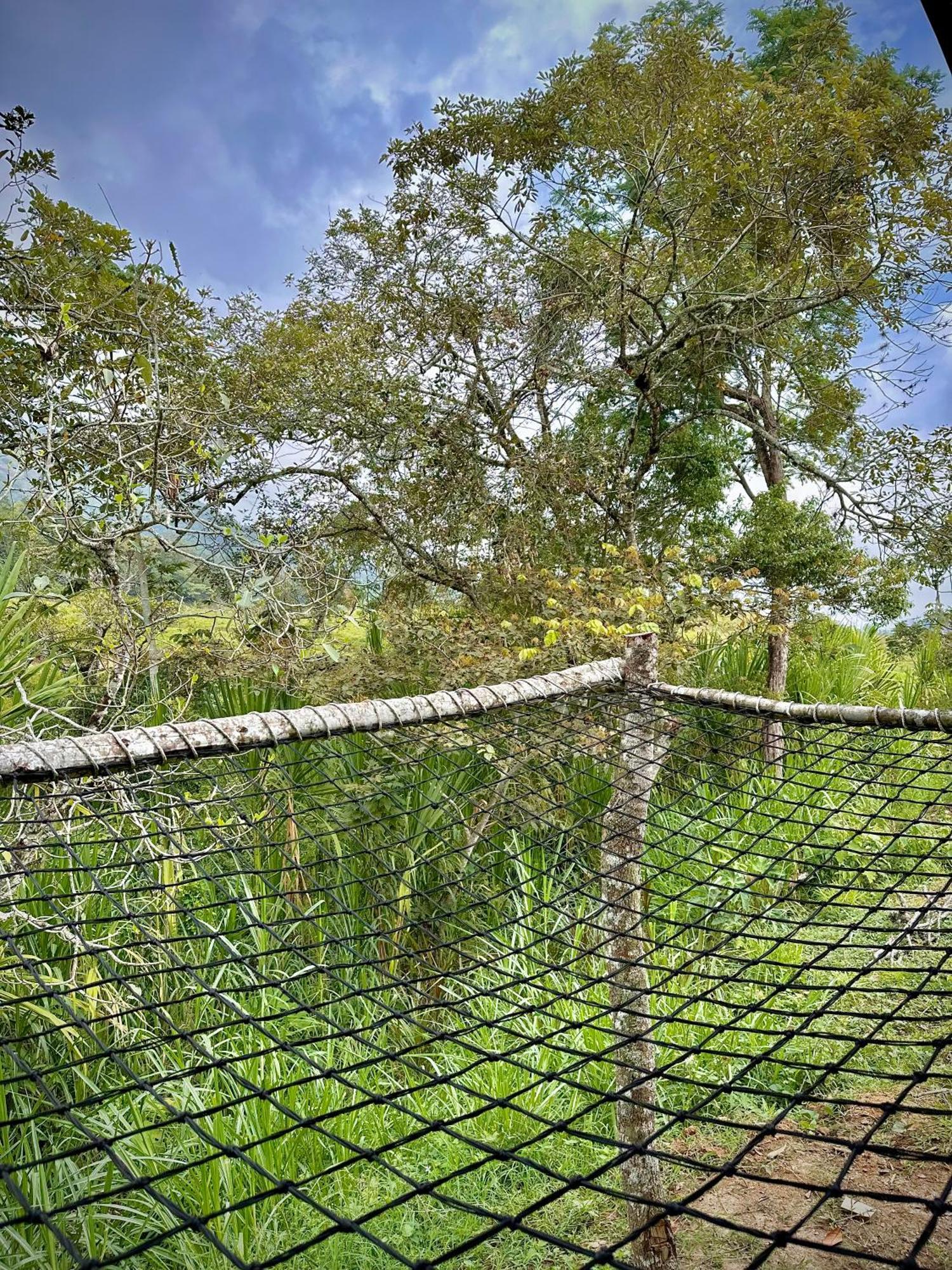 Finca Ecoparaiso Ibague Exterior photo